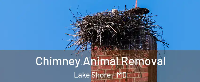  Chimney Animal Removal Lake Shore - MD