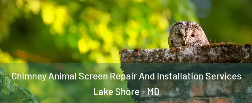  Chimney Animal Screen Repair And Installation Services Lake Shore - MD