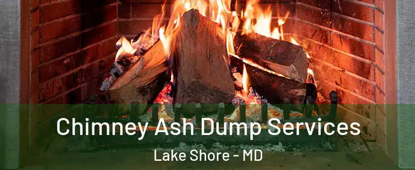  Chimney Ash Dump Services Lake Shore - MD