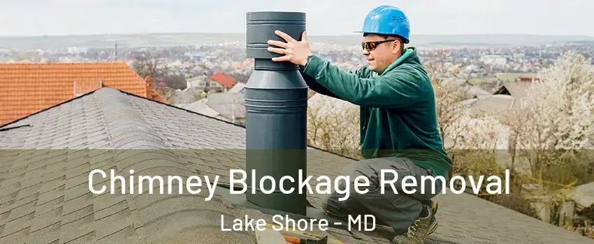  Chimney Blockage Removal Lake Shore - MD