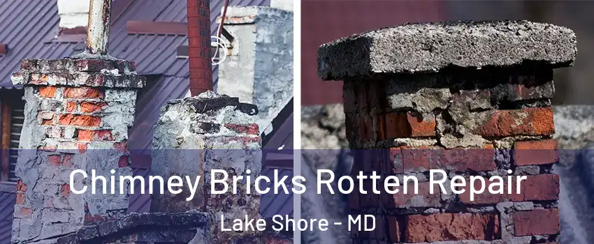  Chimney Bricks Rotten Repair Lake Shore - MD