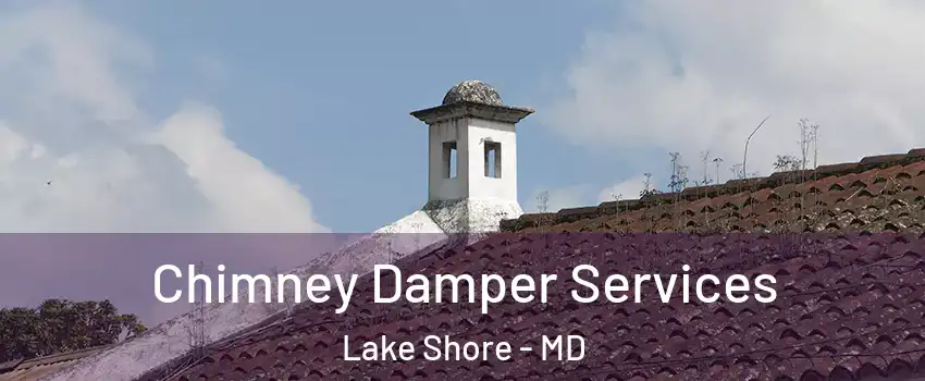  Chimney Damper Services Lake Shore - MD