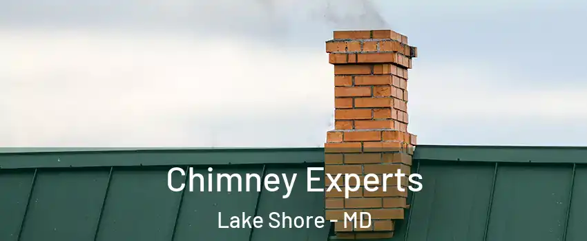  Chimney Experts Lake Shore - MD