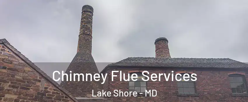  Chimney Flue Services Lake Shore - MD