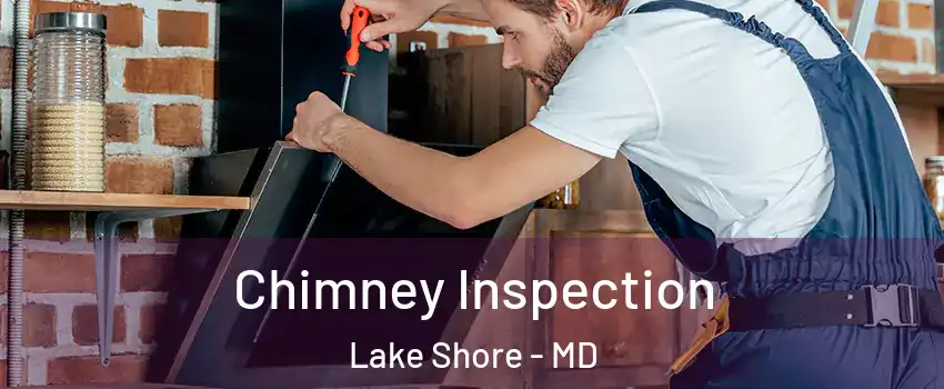  Chimney Inspection Lake Shore - MD