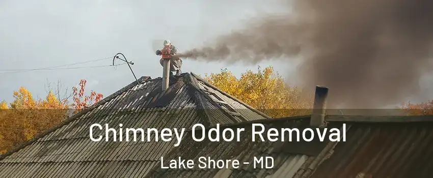  Chimney Odor Removal Lake Shore - MD