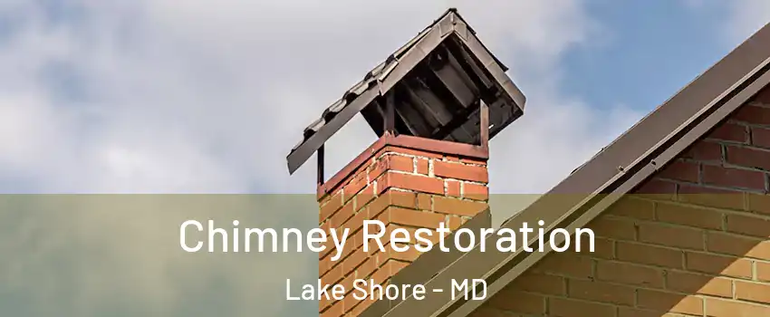  Chimney Restoration Lake Shore - MD