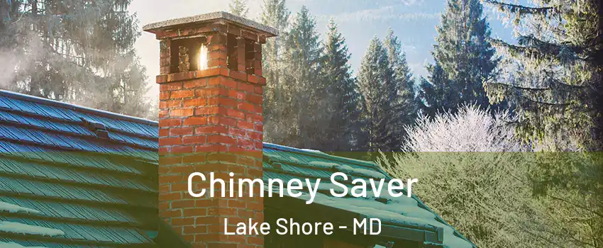  Chimney Saver Lake Shore - MD