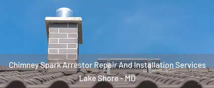  Chimney Spark Arrestor Repair And Installation Services Lake Shore - MD