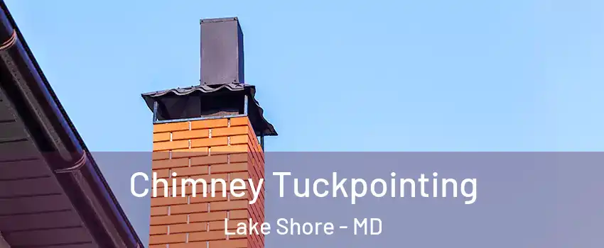  Chimney Tuckpointing Lake Shore - MD