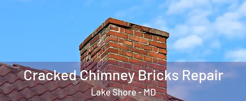  Cracked Chimney Bricks Repair Lake Shore - MD