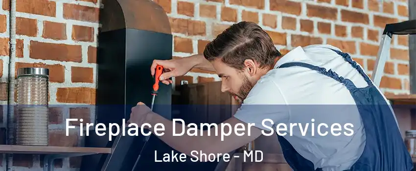  Fireplace Damper Services Lake Shore - MD