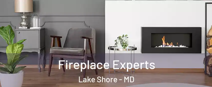  Fireplace Experts Lake Shore - MD