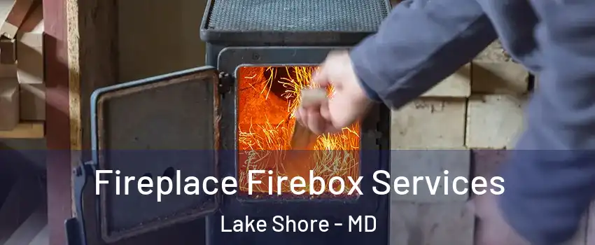  Fireplace Firebox Services Lake Shore - MD