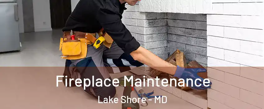  Fireplace Maintenance Lake Shore - MD