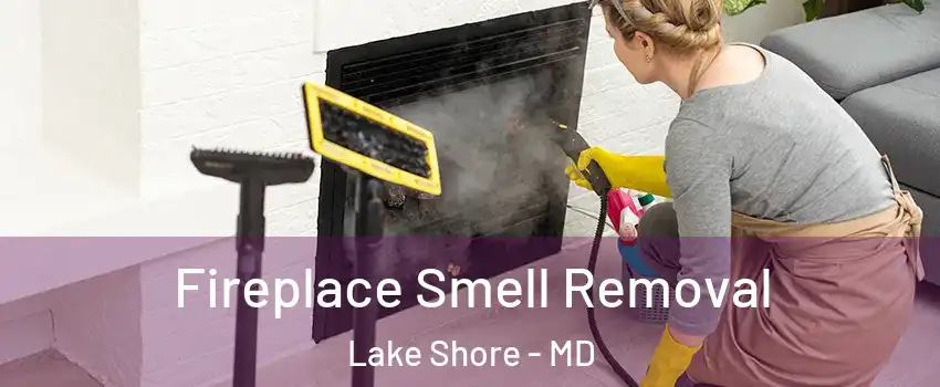  Fireplace Smell Removal Lake Shore - MD