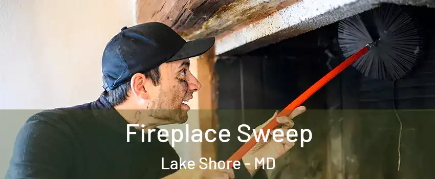  Fireplace Sweep Lake Shore - MD