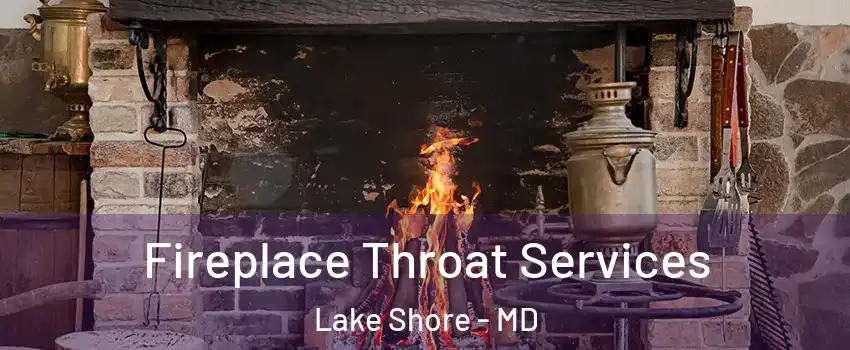  Fireplace Throat Services Lake Shore - MD