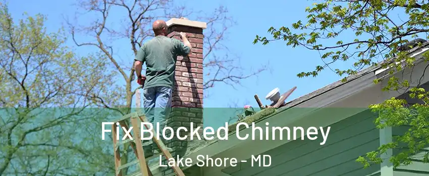  Fix Blocked Chimney Lake Shore - MD