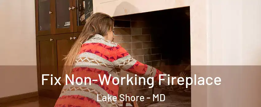  Fix Non-Working Fireplace Lake Shore - MD