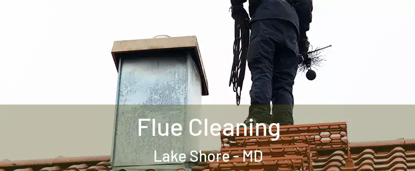  Flue Cleaning Lake Shore - MD