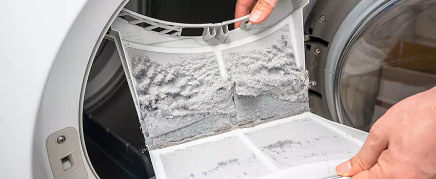 Best Dryer Lint Removal Company in Lake Shore, Maryland