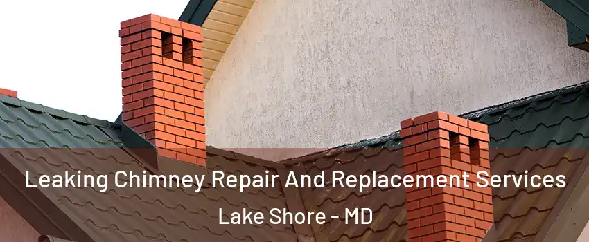  Leaking Chimney Repair And Replacement Services Lake Shore - MD