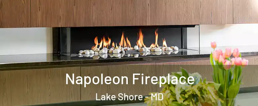  Napoleon Fireplace Lake Shore - MD