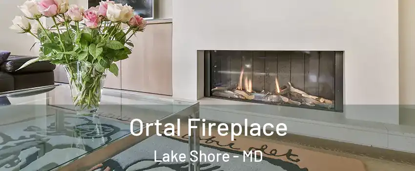  Ortal Fireplace Lake Shore - MD